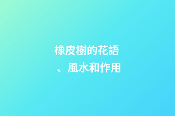 橡皮樹的花語、風水和作用